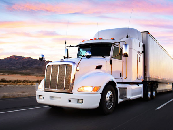 International Car Shipping